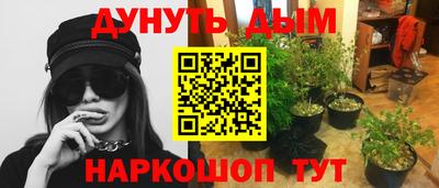spice Волжск